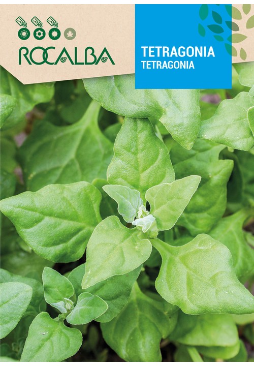 TETRAGONIA