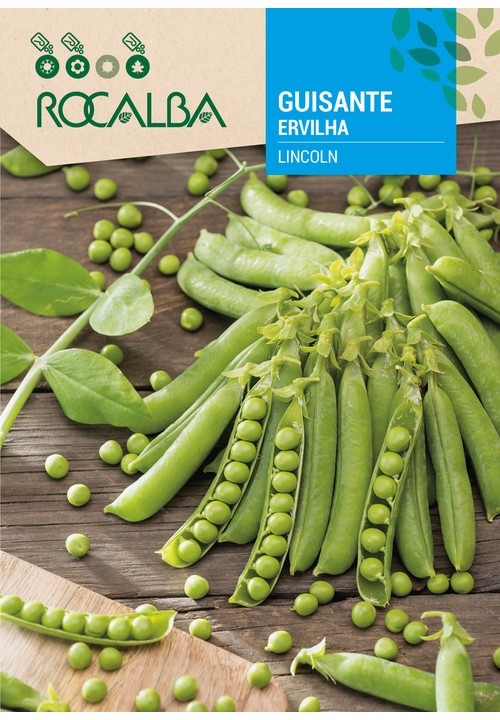 ERVILHA LINCOLN