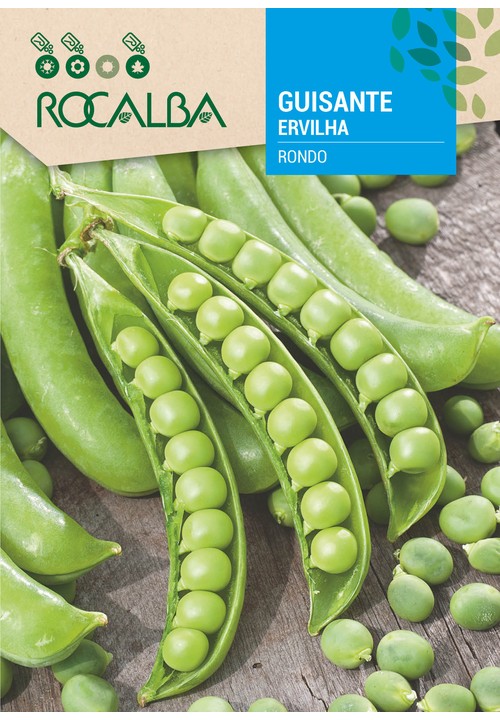 ERVILHA RONDO