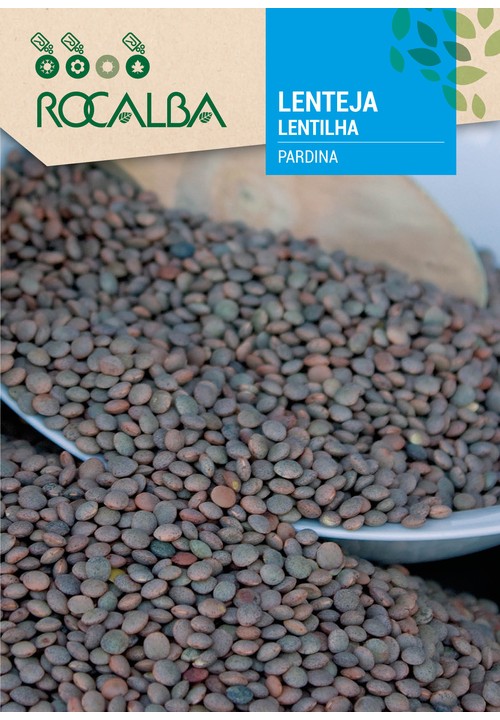 LENTILHA PARDINA
