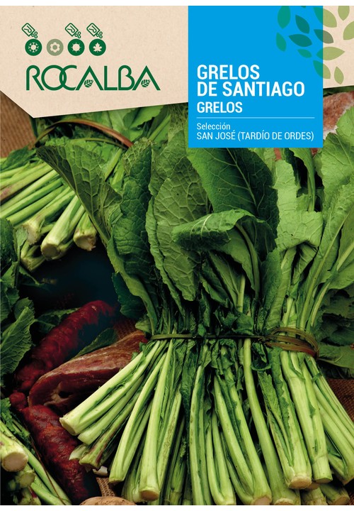 NABO GRELOS DE SAN JOSÉ