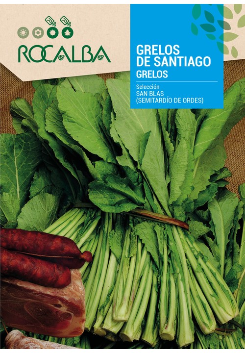 NABO GRELOS DE SAN BLAS