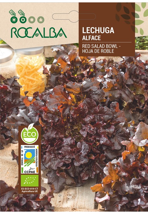 LETTUCE RED SALAD BOWL 'HOJA DE ROBLE'