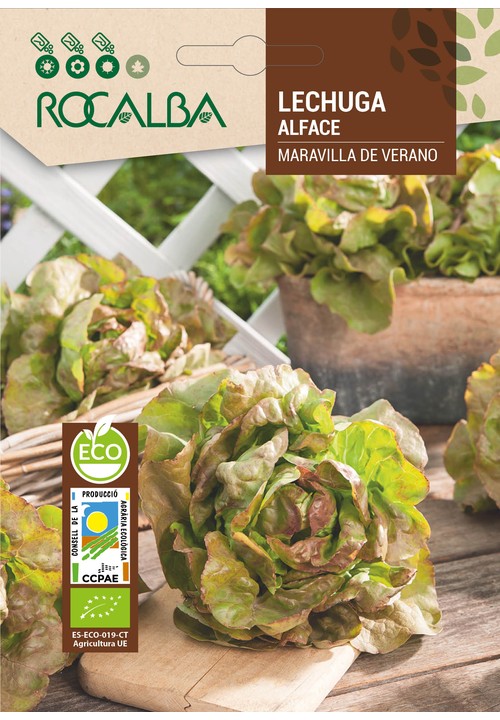 LETTUCE MARAVILLA DE VERANO