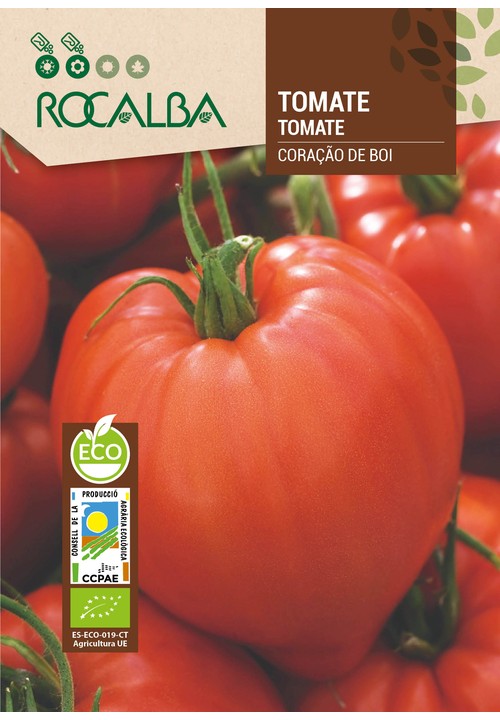 TOMATE CORAÇÃO DE BOI