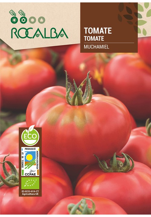 TOMATE MUCHAMIEL