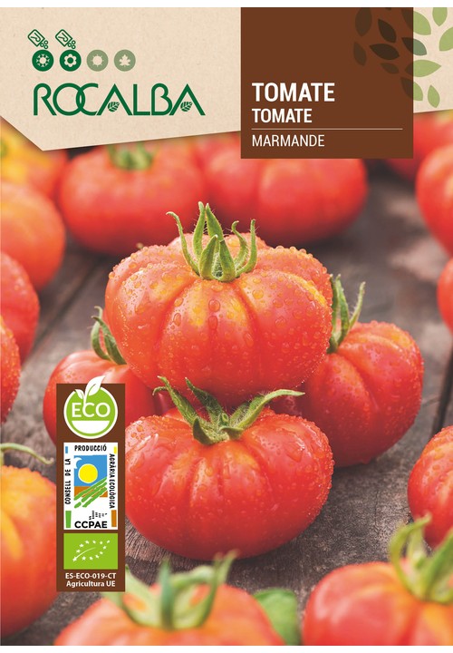 TOMATE MARMANDE
