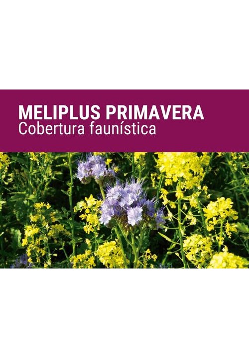 MELIPLUS PRIMAVERA
