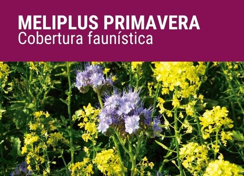 MELIPLUS PRIMAVERA