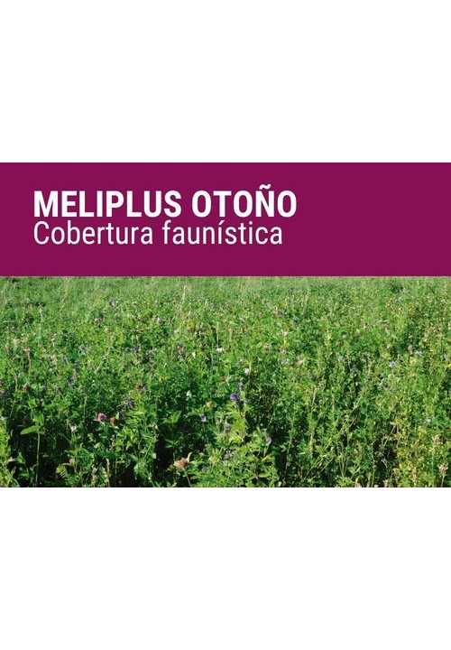 MELIPLUS OTOÑO