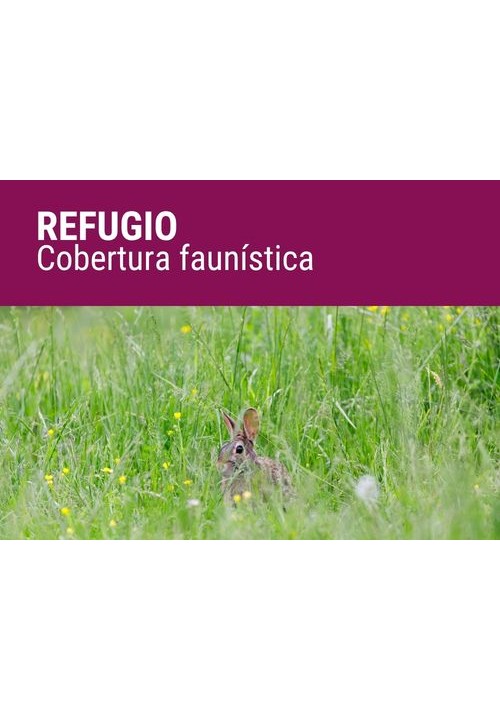REFUGIO