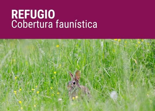 REFUGIO