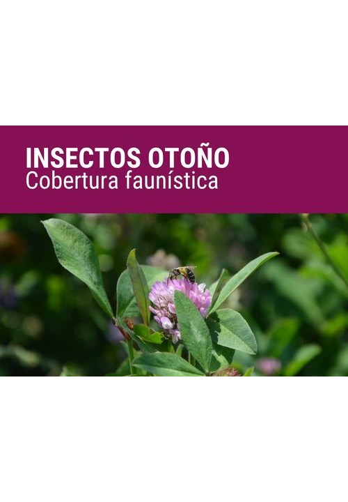 INSECTOS OTOÑO