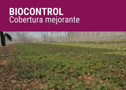 BIOCONTROL