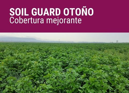 SOIL GUARD OTOÑO