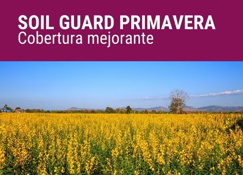 SOIL GUARD PRIMAVERA