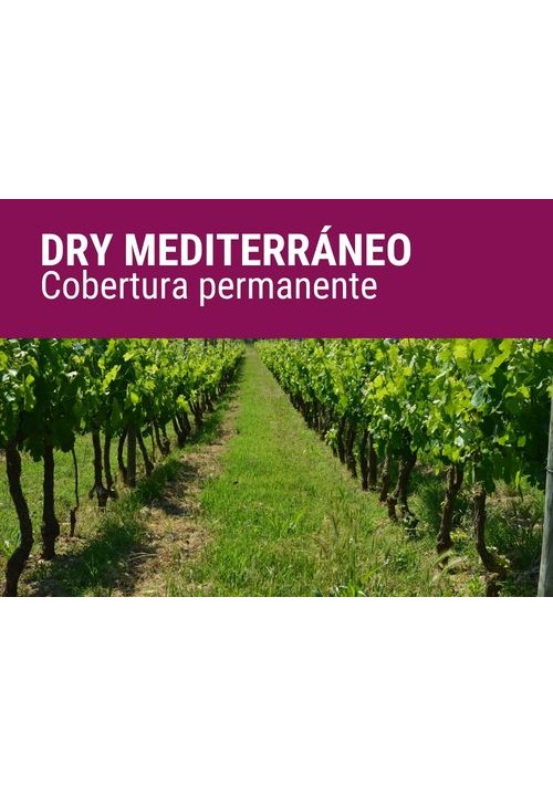 DRY MEDITERRÁNEO