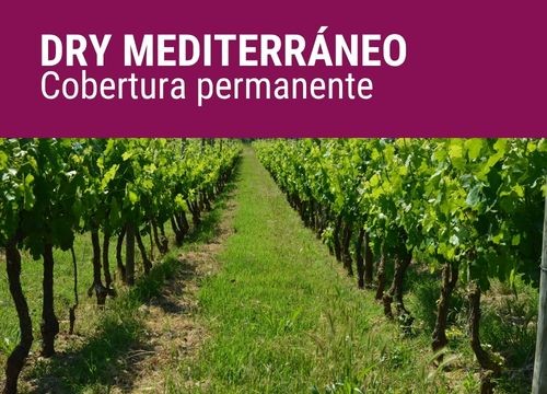 DRY MEDITERRÁNEO
