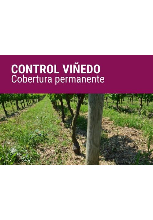 CONTROL VIÑEDO