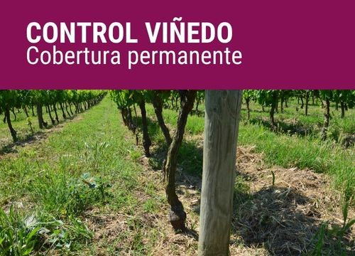 CONTROL VIÑEDO