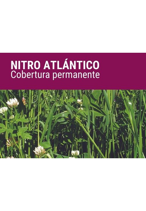 NITRO ATLÁNTICO