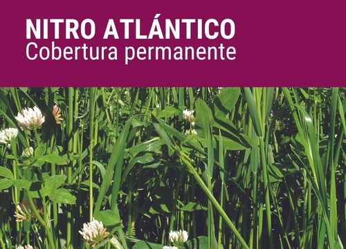 NITRO ATLÁNTICO