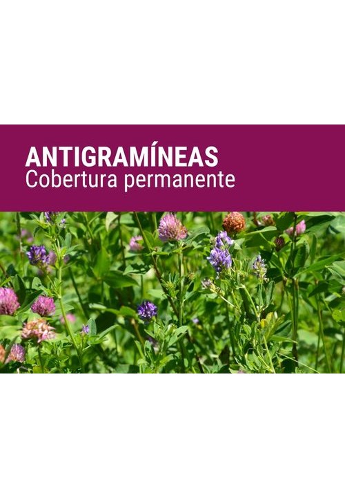 ANTIGRAMÍNEAS