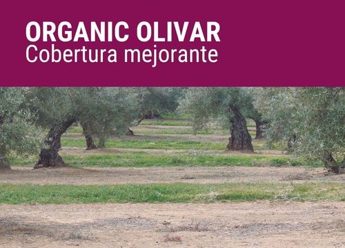 ORGANIC OLIVAR