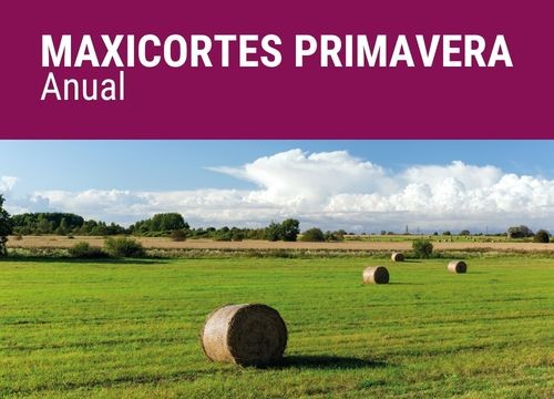 MAXICORTES PRIMAVERA