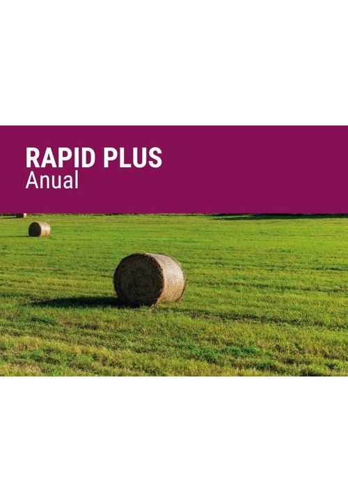 RAPID PLUS