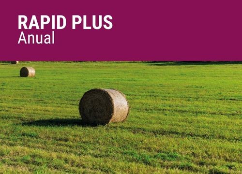 RAPID PLUS