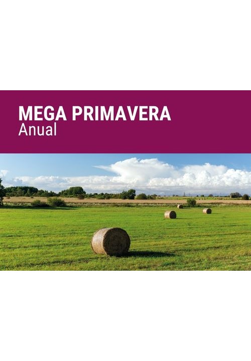 SEMILLA PRADERA F.MEGA PRIMAVERA