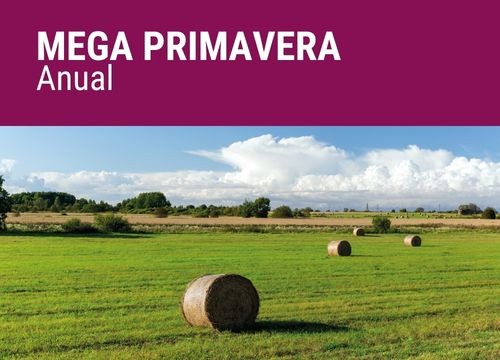 MEGA PRIMAVERA