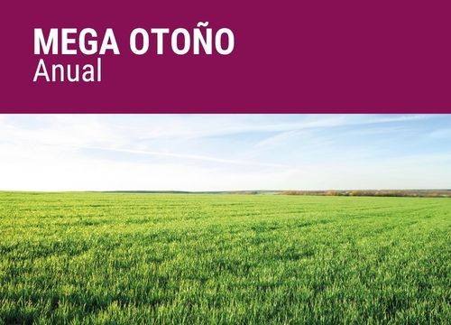 MEGA OTOÑO