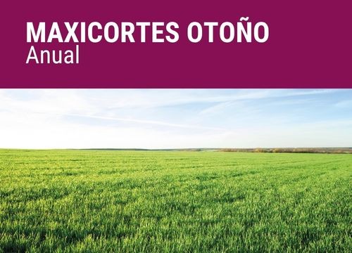MAXICORTES OTOÑO