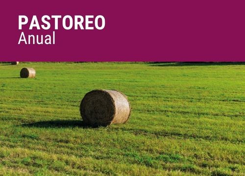 PASTOREO