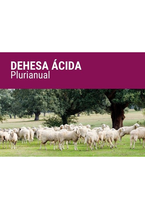SEMILLA PRADERA FORMULA SECMIX ACIDO