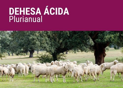 DEHESA ÁCIDA