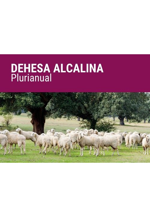 SEMILLA PRADERA SECMIX ALCALINO