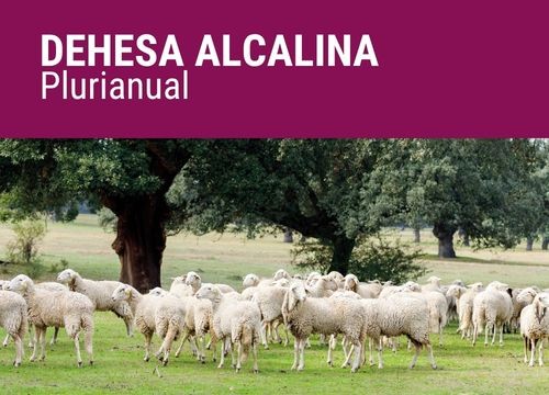 DEHESA ALCALINA