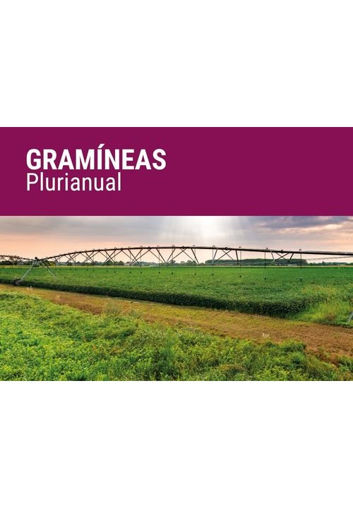 GRAMÍNEAS