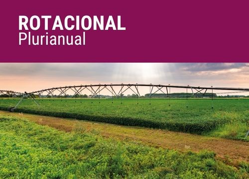 ROTACIONAL