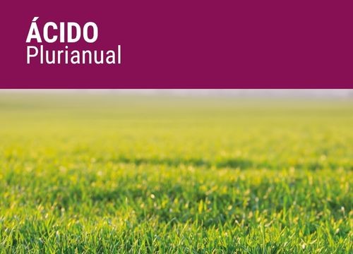 ACIDO