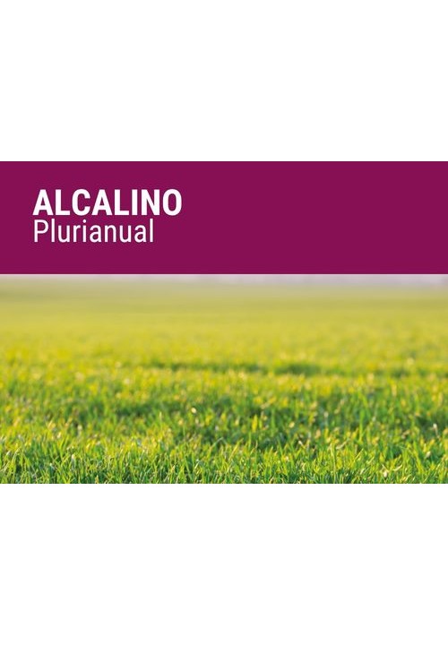 ALCALINO