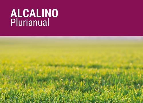 ALCALINO