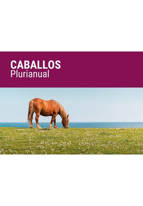 SEMILLA PRADERA FORMULA REGMIX CABALLOS