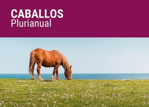 CABALLOS