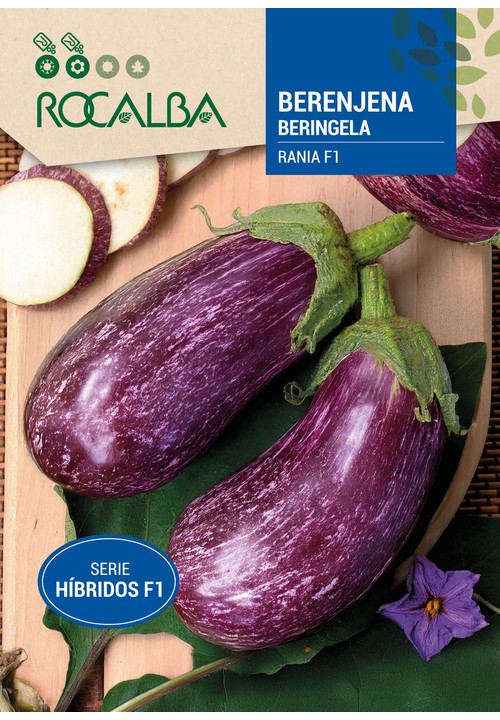 AUBERGINE RANIA
