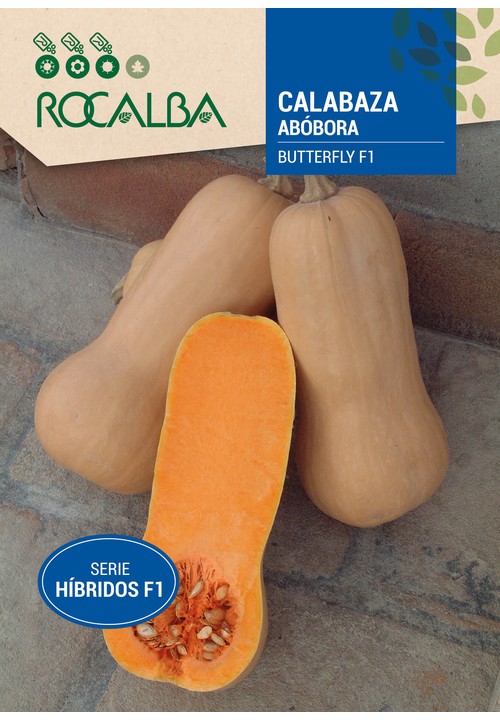 Calabaza BUTERFLY F1