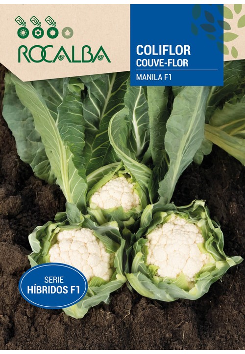 Coliflor MANILA F1